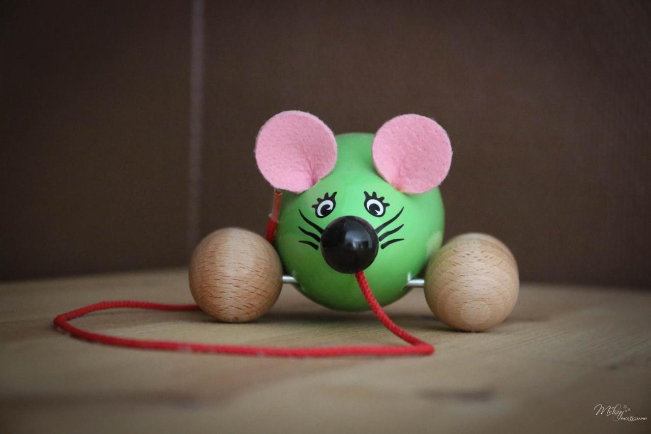 Gite De La Souris Verte Molamboz Eksteriør bilde